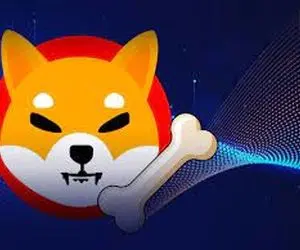 شیبااینویی جدید که جنجال برانگیز تر شده است!