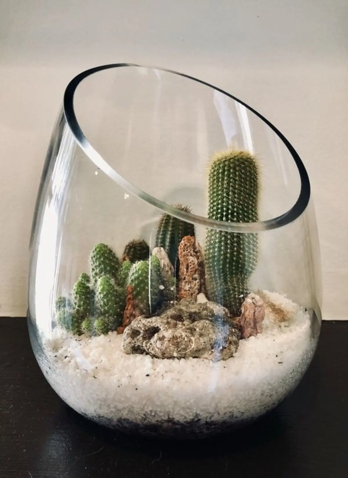cactus-terrarium-model-25