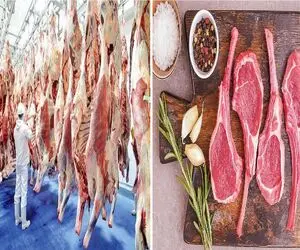 قیمت گوشت قرمز امروز ۱۷ اردیبهشت ۱۴۰۵