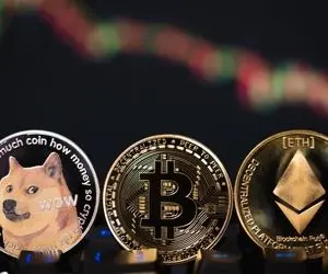 حماسه جنجالی شیبااینو و حریف هایش!