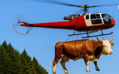 جابه جایی جانکاه؛ نمایش کاملی از فناوری حمل و نقل دام در سودآورترین حالت خود 