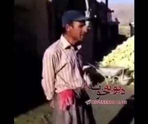 آواز خیابانی؛ ببینید این کارگر ساختمانی کنار بیل و فرقون ماسه چه دلنواز آواز می خونه