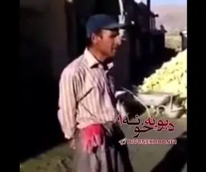 آواز خیابانی؛ ببینید این کارگر ساختمانی کنار بیل و فرقون ماسه چه دلنواز آواز می خونه