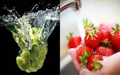 راز ضدعفونی حرفه ای میوه ها که خیلیا نمی دونن/ از همین امروز این روش رو انجام بده