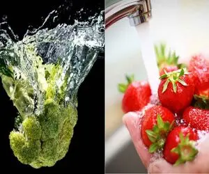 راز ضدعفونی حرفه ای میوه ها که خیلیا نمی دونن/ از همین امروز این روش رو انجام بده