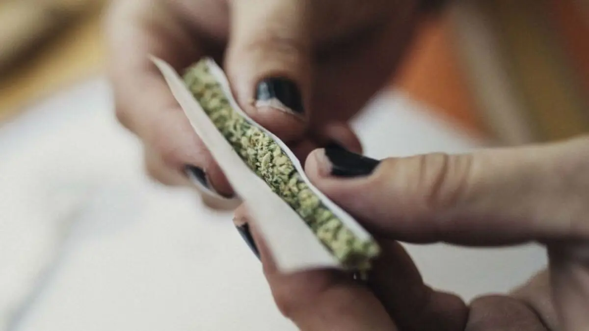 گُل این مخدر همیشه در دسترس و اثرات وحشتناک آن