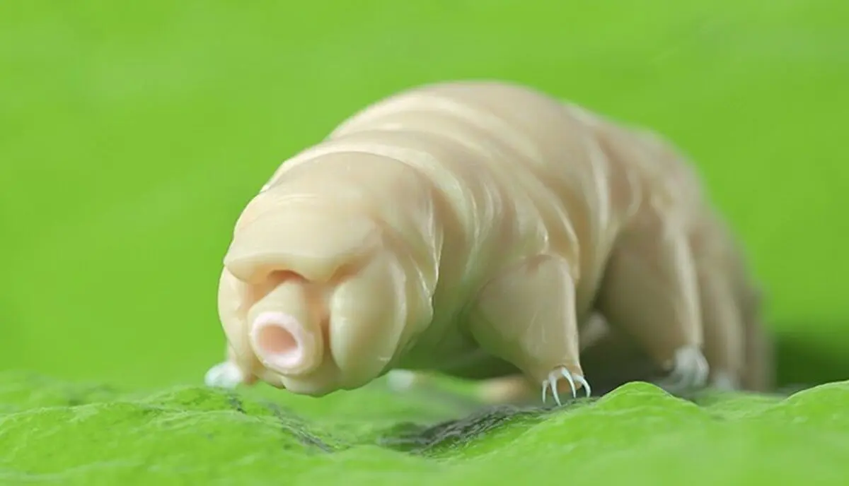 What-happens-if-we-introduce-tardigrade-proteins-into-human-cells-zistna-ir