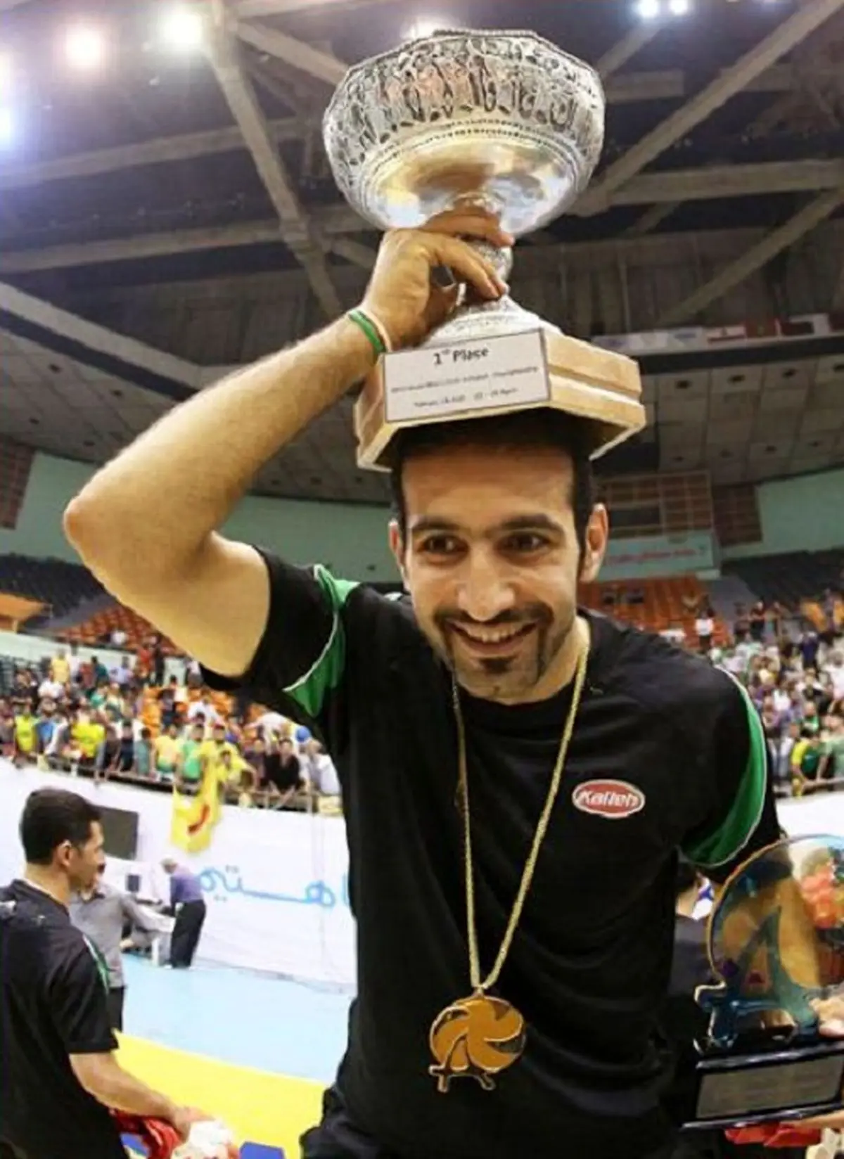 افتخارات حمزه زرینی,زندگی نامه حمزه زرینی,زندگینامه حمزه زرینی