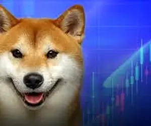 شیبااینو قله ای جدید فتح کرد؟