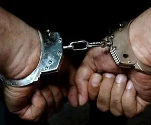 (ویدیو) بازگرداندن کلاهبردار بزرگ اقتصادی از مسکو