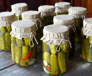 آموزش آشپزی؛ خیارشور فوری که یک ساعته آماده میشه