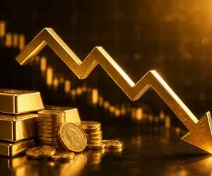 قیمت طلا و سکه امروز 14 تیر 1405؛ ریزش ادامه دارد یا بازار برمی‌گردد؟ + جدول