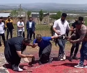 رقص محلی؛ لک های عزیز تو دل طبیعت چمباتمه دستمال به دست رقص سما لکی میرن