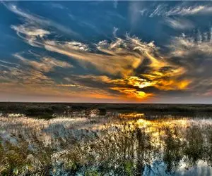 (عکس) سرنوشت تلخ هورالعظیم