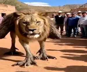 معماری طبیعت؛ شیر آزمایشگاهی عجیب الخلقه درست کردن خودشون کرک و پرشون ریخته