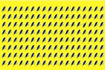 بازی فکری؛ همین جا بگم خیلیا نتونستن پرای متفاوت  تصویر رو پیدا کنن بعدا نگی نگفتی