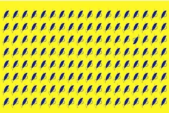 بازی فکری؛ همین جا بگم خیلیا نتونستن پرای متفاوت  تصویر رو پیدا کنن بعدا نگی نگفتی