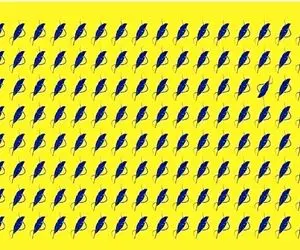 بازی فکری؛ همین جا بگم خیلیا نتونستن پرای متفاوت  تصویر رو پیدا کنن بعدا نگی نگفتی