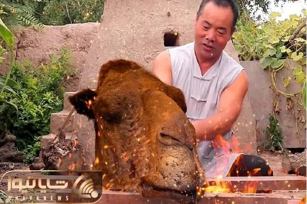 street food shayanews