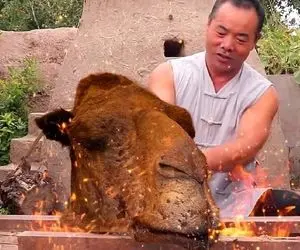 غذای سلاخی ؛ دیدی چین همچی میخورن؟ مرده این جانور شوربخت رو بار گذاشت چه سرو بیریختی