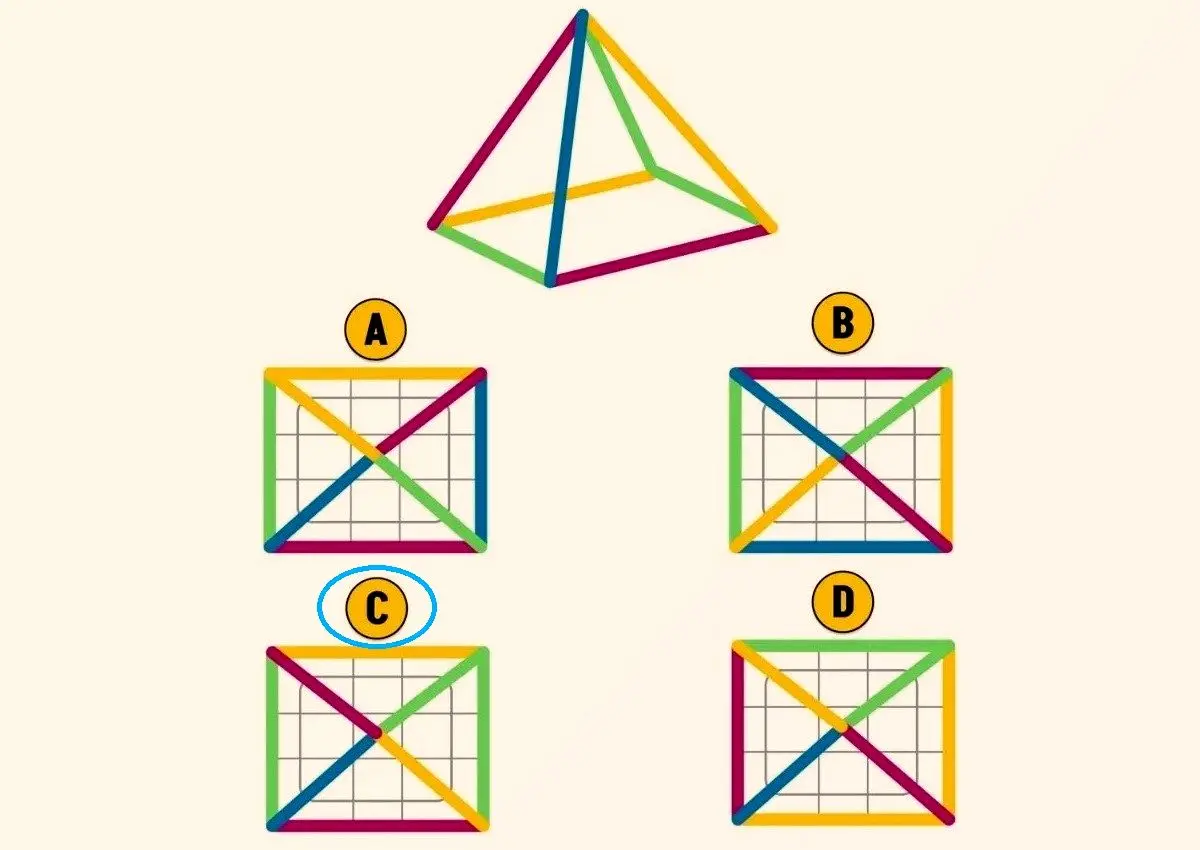 پاسخ-تست-هوش-نمای-بالایی-درست-هرم