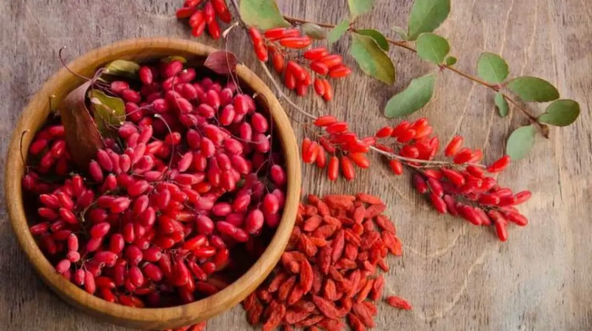 طرز تهیه ماهی شکم پر مجلسی و نکاتی برای خوشمزه تر شدن آن
