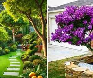 درختان سریع الرشد حیاط؛ زیباترین و زرنگ ترین درخت هایی که برای فضای باز و باغ عالین