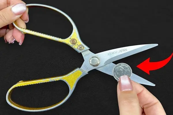 ترفندهای خانگی؛ تیز کردن قیچی با یه سکه مثل تیغ برنده میشه