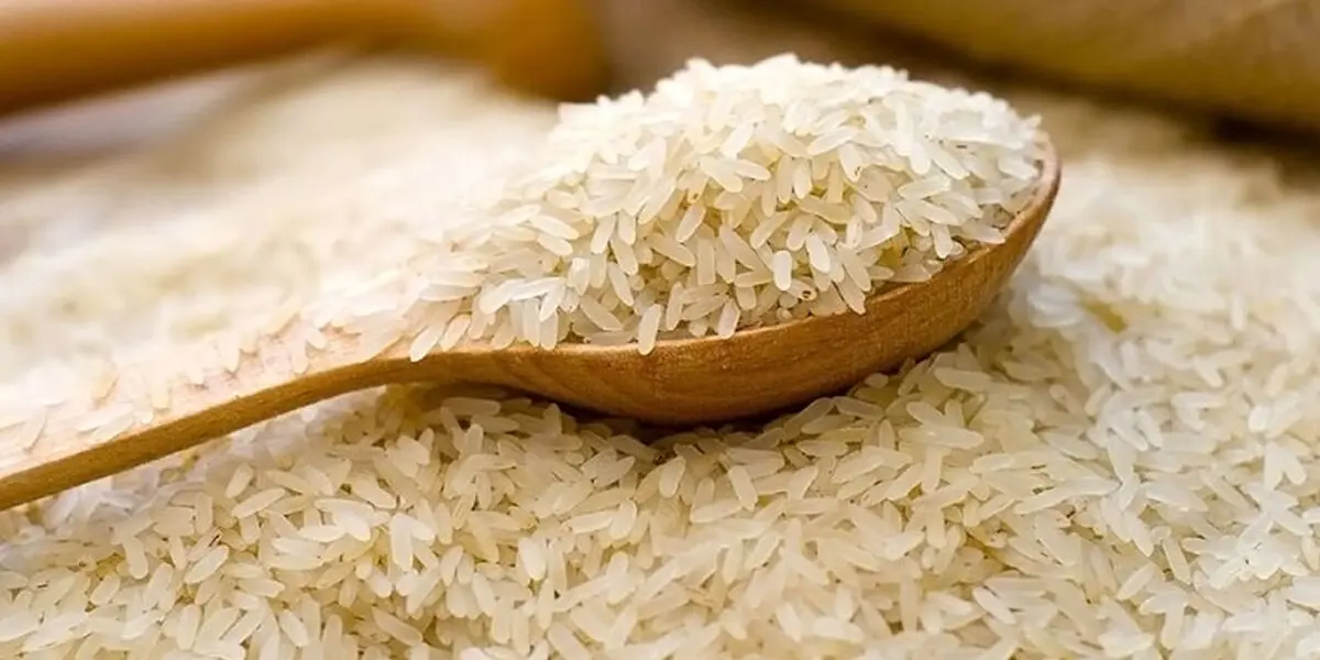 قد کشیدن برنج