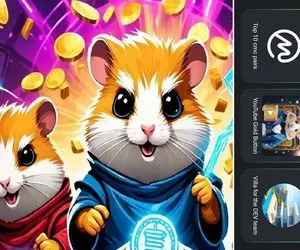 کارت های همستر کامبت امروز پنج شنبه 22 شهریور+ آموزش وارد کردن