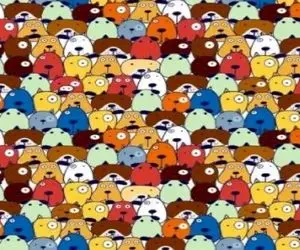 بازی فکری؛ هوشت باید در حد خالی بندیهای فیلم هندیا زیاد باشه تا خوک تصویر رو پیدا کنی