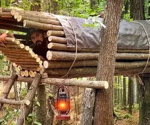 معماری خلاقانه؛ آقاهه بالای درخت جا خواب ساخته وقتی میره توش عین هات داگ تو ساندویچ