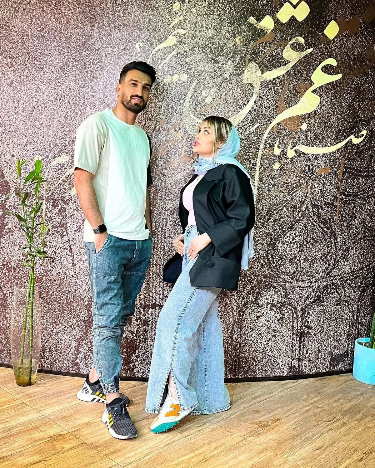 انیس مهمدی (2)