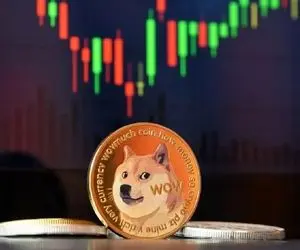 گاوهای دوج کوین خوش به حالشون شد؟