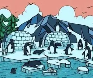 بازی فکری؛ فوک آبی استتار کرده بین اینهمه پنگوئن رو فقط یک درصد از 100 درصد پیدا کردن