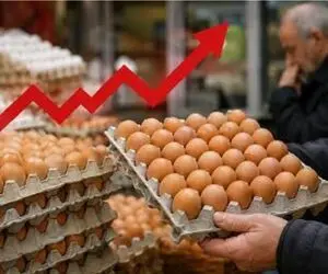 قیمت تخم مرغ امروز چهار شنبه 28 مرداد 1405 / آرامش قبل از طوفان؟