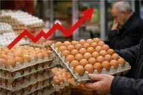 قیمت تخم مرغ امروز چهار شنبه 28 مرداد 1405 / آرامش قبل از طوفان؟