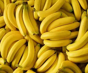کاهش 40 درصدی قیمت موز در 10 روز آینده