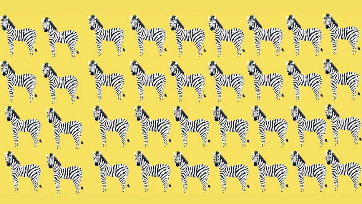 تست-بینایی-یافتن-گورخر-متفاوت