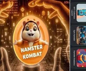 کارت های همستر کامبت امروز دوشنبه 26 شهریور + آموزش وارد کردن