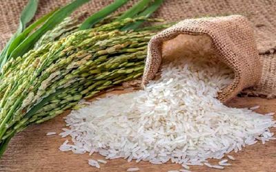 قیمت برنج دوباره افزایش پیدا می کند؟