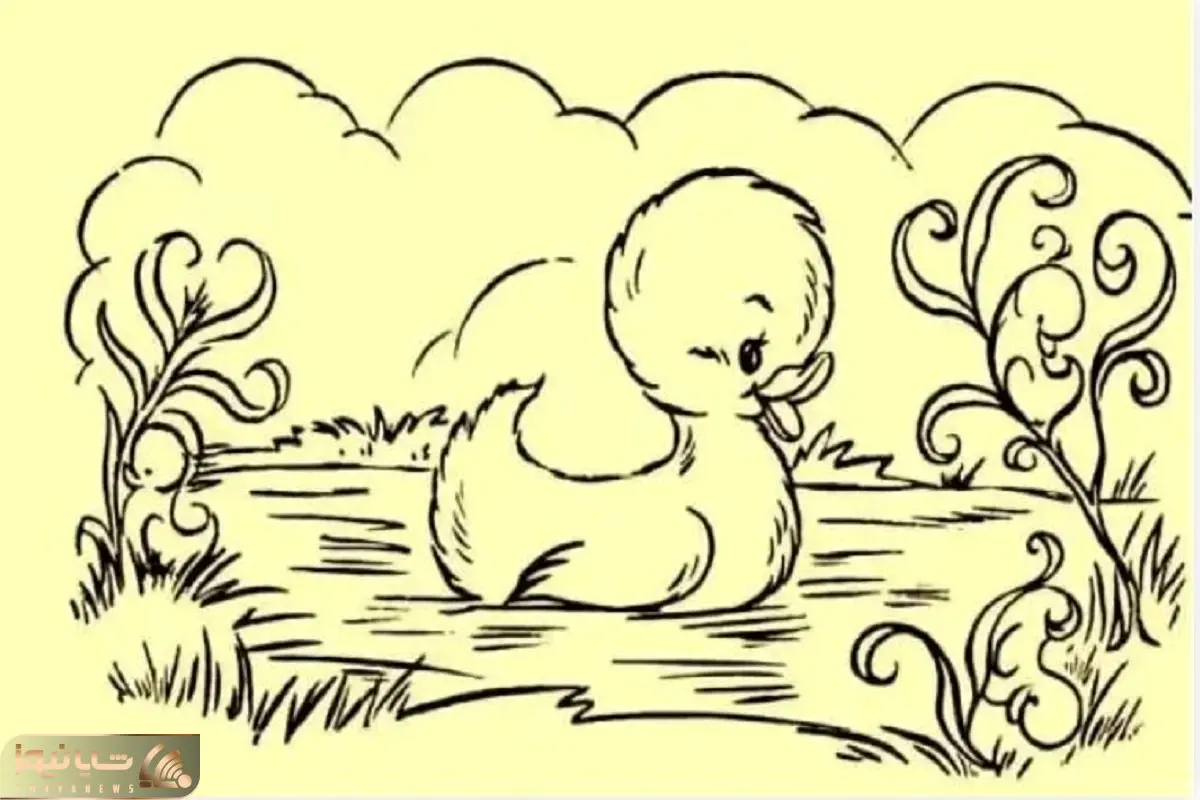 بازی فکری؛ به این اردک کمک کنین جوجه های گمشدشو تو برکه پیدا کنه تا سکته نکرده