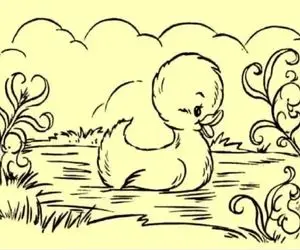 بازی فکری؛ به این اردک کمک کنین جوجه های گمشدشو تو برکه پیدا کنه تا سکته نکرده