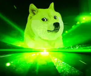 اتفاقی غیرمنتظره برای دوج کوین!