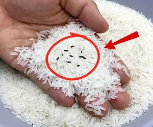 ترفندهای خانگی؛ ترفند های دو دقیقه ای برای از بین بردن شپشک برنج
