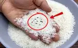 ترفندهای خانگی؛ ترفند های دو دقیقه ای برای از بین بردن شپشک برنج