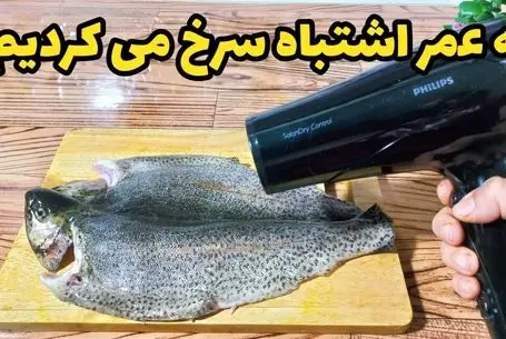 ترفندهای طلایی؛ سرخ کردن ماهی با روشی تازه که همه را شوکه میکنه