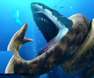 بدایع حیات وحش؛ مارماهی بدسگال پیچید دور نهنگ غول بعد له شدن درسته بلعید