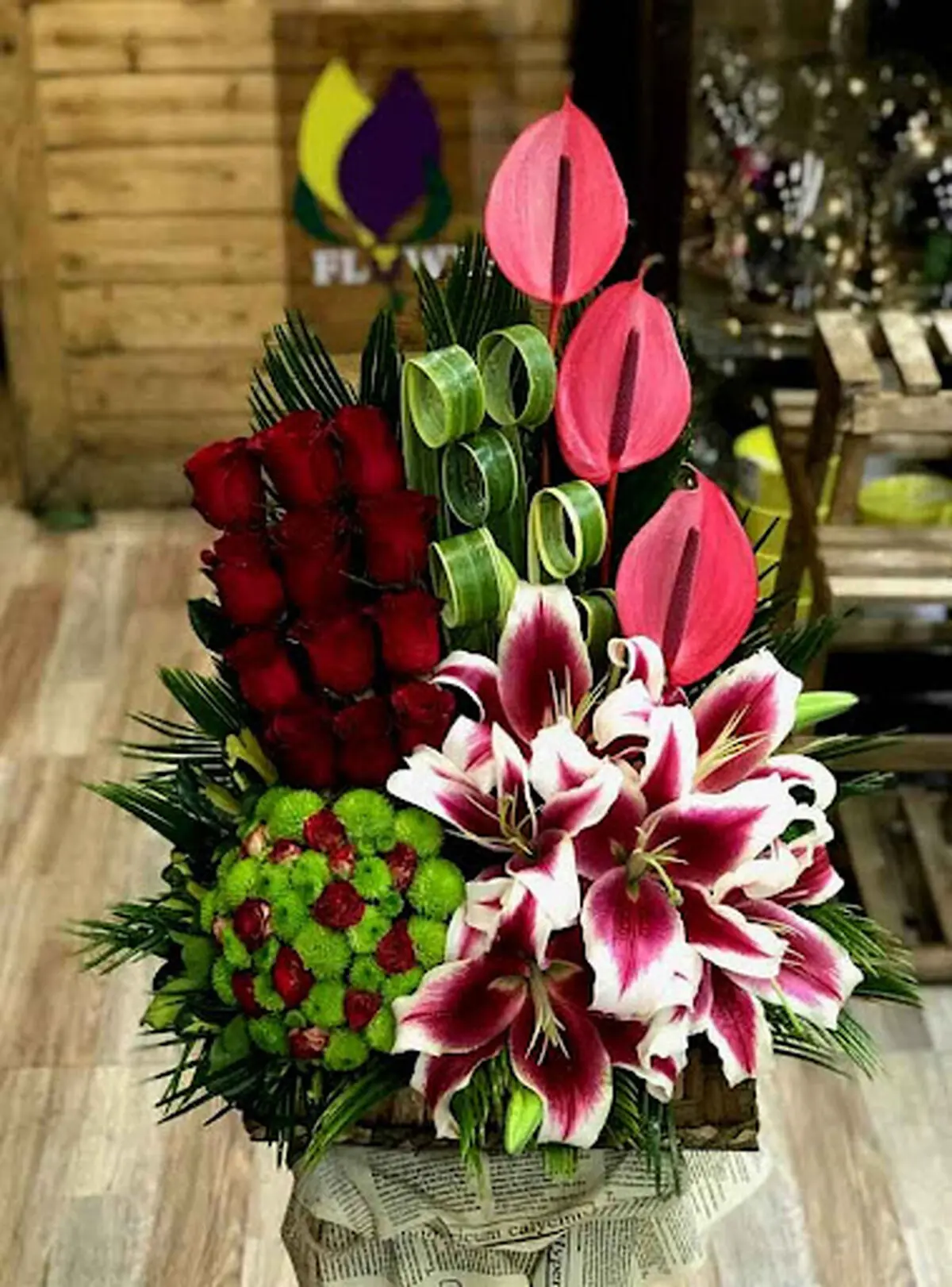 باکسو4