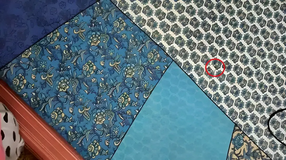 پاسخ-تست-بینایی-یافتن-انگشتر-در-کاتالوگ-پارچه-ها